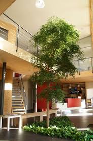 Artificial Tree Gallery Evergreen Direct Tree Interior Indoor Trees Artistic Tree