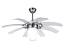 Paper Decorative Fan