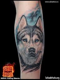Canil De Husky Siberiano Em Ribeirao Preto Pin En Animales