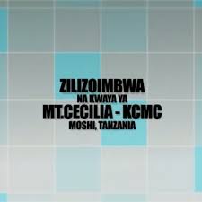 Bikira maria wa lurdi parokia ya mateka jimbo katoliki songea. Mzikiwakikatoliki Instagram Posts Gramho Com