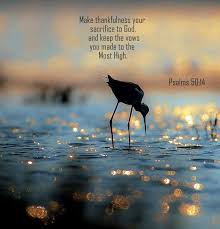 Look At The Birds Of The Air Nlt Psalms 50 14 Nlt Scripture Pictures Bible Scriptures Sola Scriptura