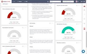 Graphs Charts Easy Redmine