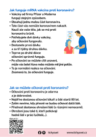 Prezident české stomatologické komory roman šmucler podstoupil druhou dávku očkování, po níž mu dle jeho slov napůl ochrnul obličej. Informace O Ockovani Pro Klienty Tichy Svet