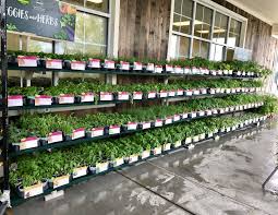 Expert gardening tips help you with your plants. Lowes Foods In Bermuda Run Now Has Bonnie Plants Veggies Herbs Stop By Today And Check Out The Large Variety Of Veggies Her Lowes Food Tomato Plants Herbs