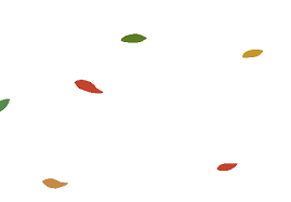 Transparent gifs falling, fall falling sticker by brock university for ios. Sticker By Littlefieldgif For Ios Android Giphy