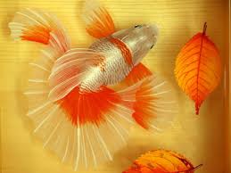 Resin Bonsai Painting Resin Painting 3d Goldfish 3d Resin Etsy Epoxy Resin Art Resin Painting Goldfish Art