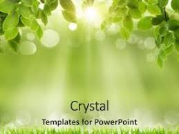 Powerpoint background is free for your ppt templates. Green Powerpoint Templates W Green Themed Backgrounds