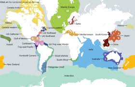 A census is the procedure of systematically calculating, acquiring and recording information about the members of a given population.this term is used mostly in connection with national population and housing censuses; 230 000 Species Identified In World S First Marine Life Census The Atlantic