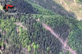 La cabina sarebbe caduta in mezzo a un bosco, a 300 metri dalla vetta. Edk5czceoazjcm