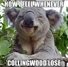 Make funny memes like on the collingwood with the best meme generator and meme maker on the web, download or share the on the collingwood meme. Afl Memes Aflmemes Twitter
