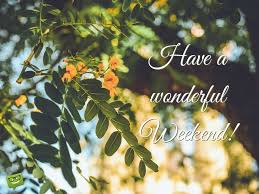 Have a wonderful Weekend. On image of beautiful tree with flowers