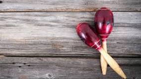 Image result for what is a maraca made out of