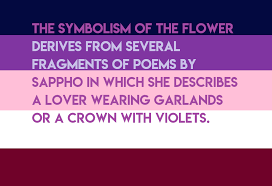 Moved To Disastergay The Symbolism Of The Flower Derives From Several