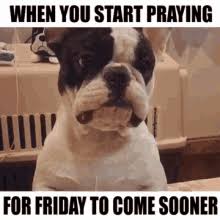 It's guaranteed to make you feel a lot better and more excited for the weekend. Pin On Friday Quotes And Memes