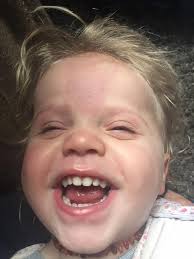 Heeler puppy's sweet and sour personality