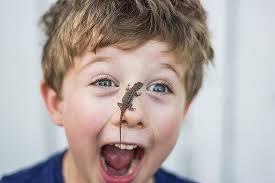 Sagebrush Lizard Art for Sale