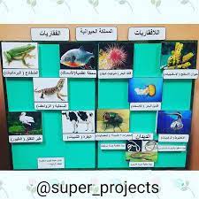 وسيلة المملكة الحيوانيه الفقاريات اللافقاريات للصف الرابع الابتدائي الفقاريات اللافقاريات الصف الرابع الابت crafts for kids classroom door national day saudi