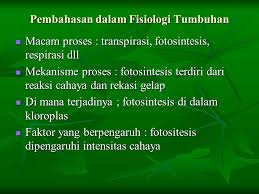 Sink adalah jaringan yang menampung atau menerima asimilat, tetapi tidak aktif berfotosintesis, misalnya buah, biji, dan umbi. Dasar Dasar Fisiologi Tumbuhan Ppt Download
