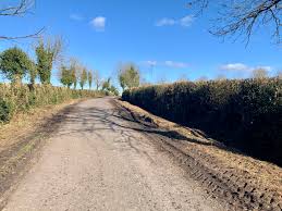 Based in castlebar, county mayo, we offer landscaping solutions to private, residential and commercial customers in mayo, galway, sligo, roscommon & leitrim. Pippa Hackett On Twitter 1st March Marks The Start Of The Closed Season Time To Pack Those Hedge Cutters Away We See Many Bad Examples Of Hedge Cutting About But There