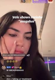 Bris Friend Meiahs Mugshot