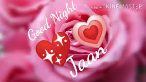 Good Night Jaan Video Status With Rose And Heart Youtube Here you can explore hq pink heart transparent illustrations, icons and clipart with filter setting like size, type, color etc. good night jaan video status with rose and heart