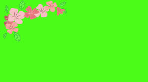 Untuk mempersingkat waktu , berikut ini beberapa 11+ download gambar animasi bunga cantik yang. Animasi Bergerak Bunga Berjatuhan Green Screen Youtube