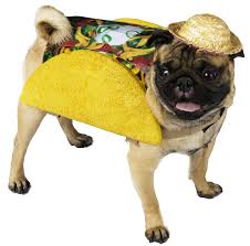 Top 10 Tuesdays Dog Costumes Halloween Costume Ideas A burrito cartoon character holding a wooden sign advertisement. top 10 tuesdays dog costumes
