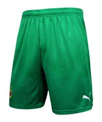 In der vergangenen saison war der mittelfeldspieler eine stammkraft in der 2. Adidas Sk Rapid Wien Trikot 2021 2022 Home Und Away Rapid Wien Trikots 2021