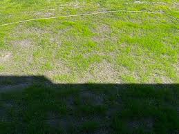 Image result for site:byggahus.se rullgräs