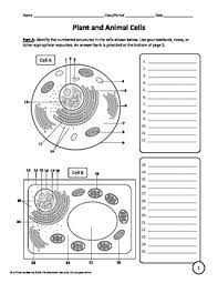 We did not find results for: Plant Animal And Bacterial Cells Worksheet By A Thom Ic Science