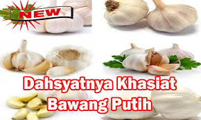 Rasanya yang khas menjadi bumbu yang terpenting di hampir setiap masakan citarasa indonesia. Dahsyatnya Khasiat Bawang Putih For Android Apk Download