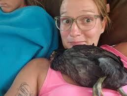 Why does my chicken lay