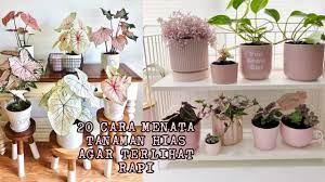 Dekorasikan meja belajarmu dengan tanaman hias mini. 20 Cara Menata Taman Hias Di Dalam Rumah Di Luar Rumah Youtube