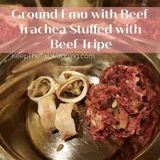 Easy Raw Dog Food Recipe With Emu And Trachea Stuffed With Tripe Raw Dog Food Recipes Healthy Dog Food Recipes Dog Food Recipes