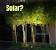 Hanging Solar Tree Lights