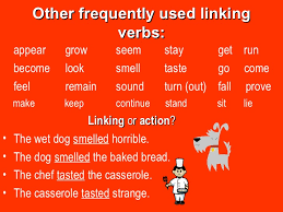 action helping and linking verbs complements