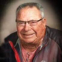 Robert Nelson VerBurg Obituary