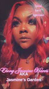 DMV Bridgerton Fan Club + Princesscore, Cottagecore Meetups