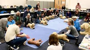 That's why paws pet resort is here: Jm Pet Resort Jmpetresort Twitter