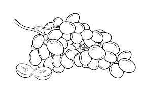 Grape coloring pages for kids. Grapes Coloring Pages Best Coloring Pages For Kids