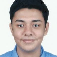 How successful is plasmid curing in E.coli?