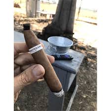 Intemperance ('lifestyle'), abetted by climate and location, which were deemed productive of noxious exhalations (a version of environmental causation). Roma Craft Intemperance Ec Xviii