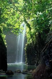 Taveuni Fiji Attractions Waterfall Places To Travel Fiji Travel