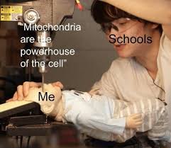 And he looked a little taken back since he didn't know we had prepared our entire lives for this question. Mitochondria Are The Powerhouse Of The Cell
