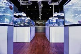 Aquarium signifies one fish tank while aquaria or aquariums refer to multiple of them. I Wish This Store Was In My City On The Other Hand I D Be Broke In A Month Elos Aquastudio New York Grand Open Aquarium Store Reef Aquarium Aquarium Design