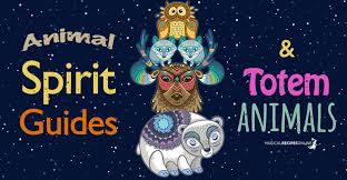 Element of harmony in the everfree forest : Power Animals Animal Spirit Guides Animal Totems Oh My Magical Recipes Online