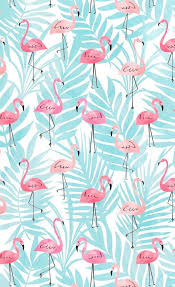 Wallpaper Wallpaper Em 2020 Flamingo Papel De Parede Imagens De Flamingo Fundo De Tela Fofo