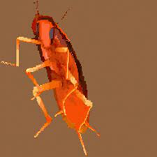 Roach Dancing Gif Roach Dancing Cockroach Discover Share Gifs
