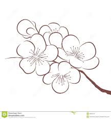 Remember not every cherry blossom is the exactly the same! Spring Cherry Blossoms Cherry Blossom Drawing Flower Drawing Flower Sketches