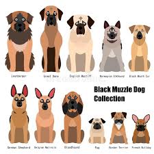 Collection Of Black Dog Stock Vector Illustration Of